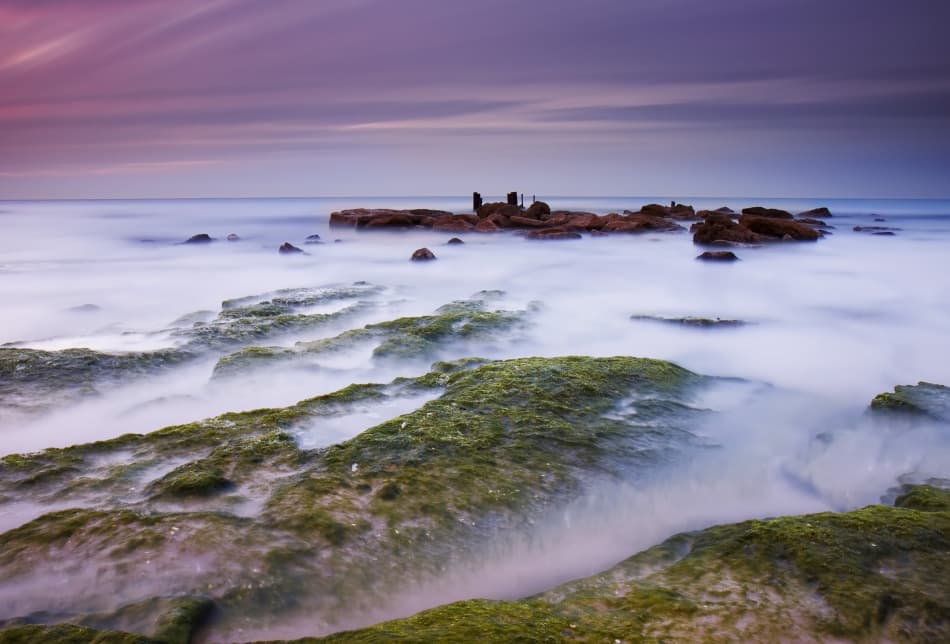 Misty Purple Coast by Amnon Eichelberg — canvas wall art