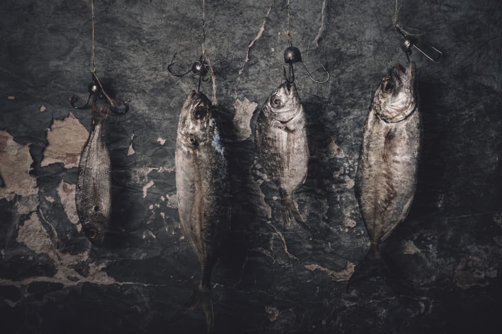 Dark Rustic Fish by Farid Kazamil — canvas wall art