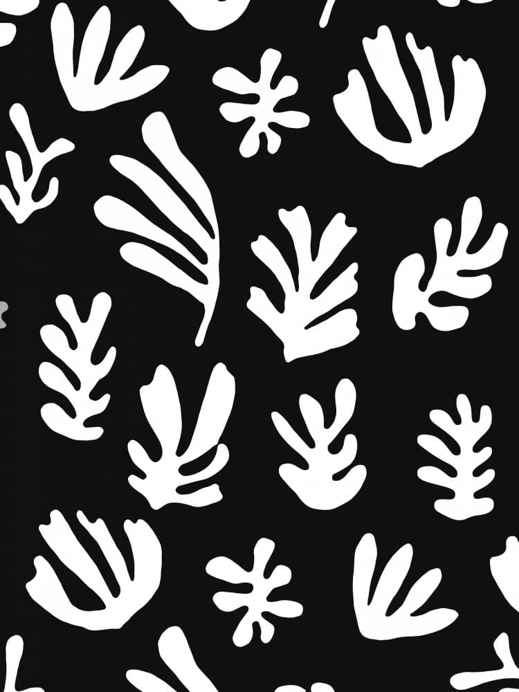 Monochrome Organic Forms by Ninola Design — canvas wall art