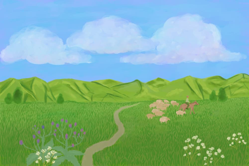 Shepherd in Green Pasture by Aliya Putrus — canvas wall art
