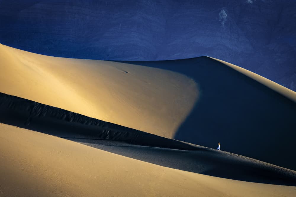Golden Desert Solitude by Sonya Liu — canvas wall art