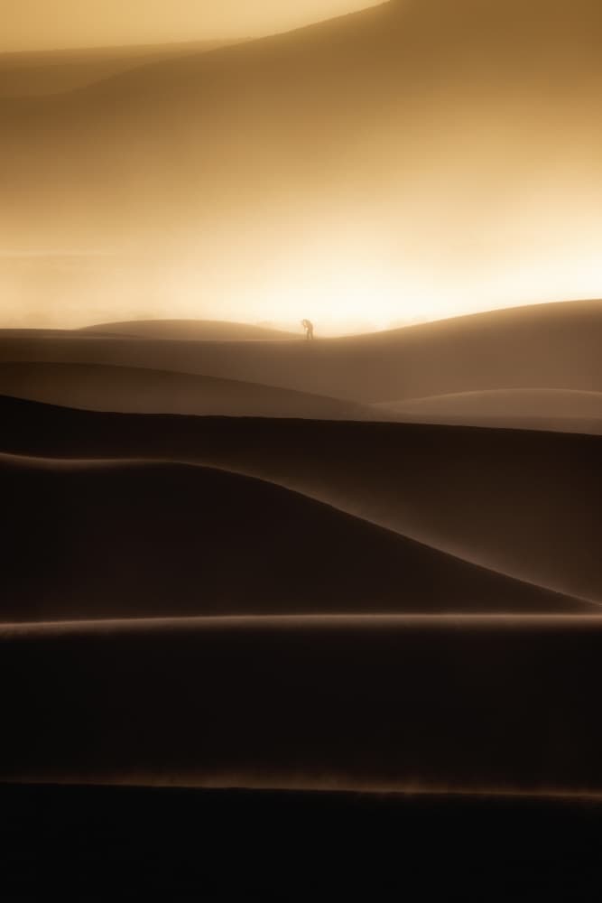 Golden Desert Solitude by Jianshu — canvas wall art
