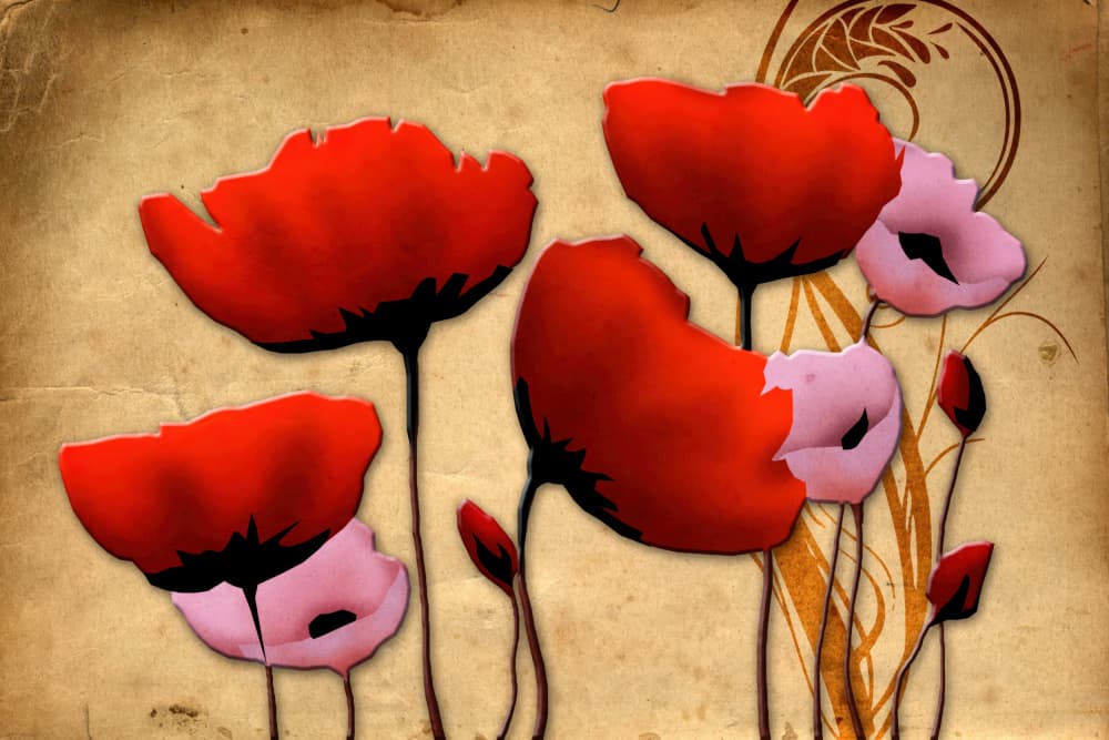 Vintage Red Poppies by Rafal Kulik — canvas wall art