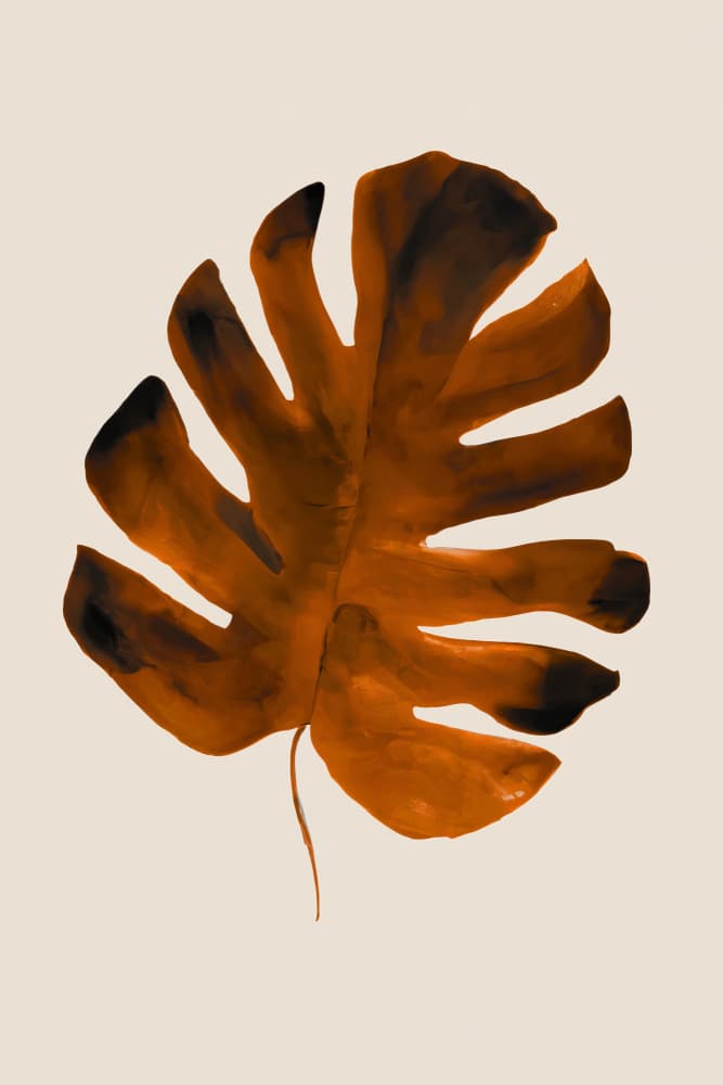 Earthy Monstera Leaf by Merel Takken — canvas wall art