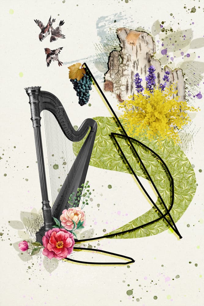 Harp Birds and Flowers by Pelin Atilla — canvas wall art