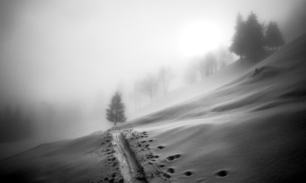 Winter Tracks In Fog by Ales Krivec — canvas wall art
