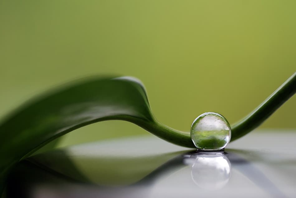 Serene Water Droplet