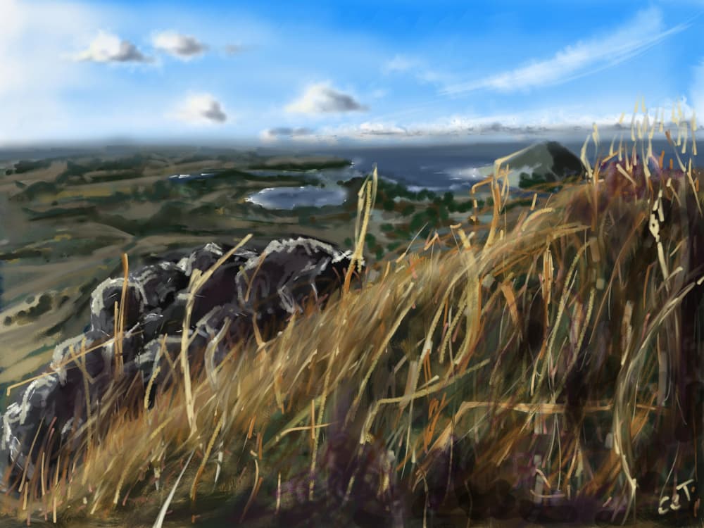 Grassy Coastal View by Charlotte Trudgett — canvas wall art