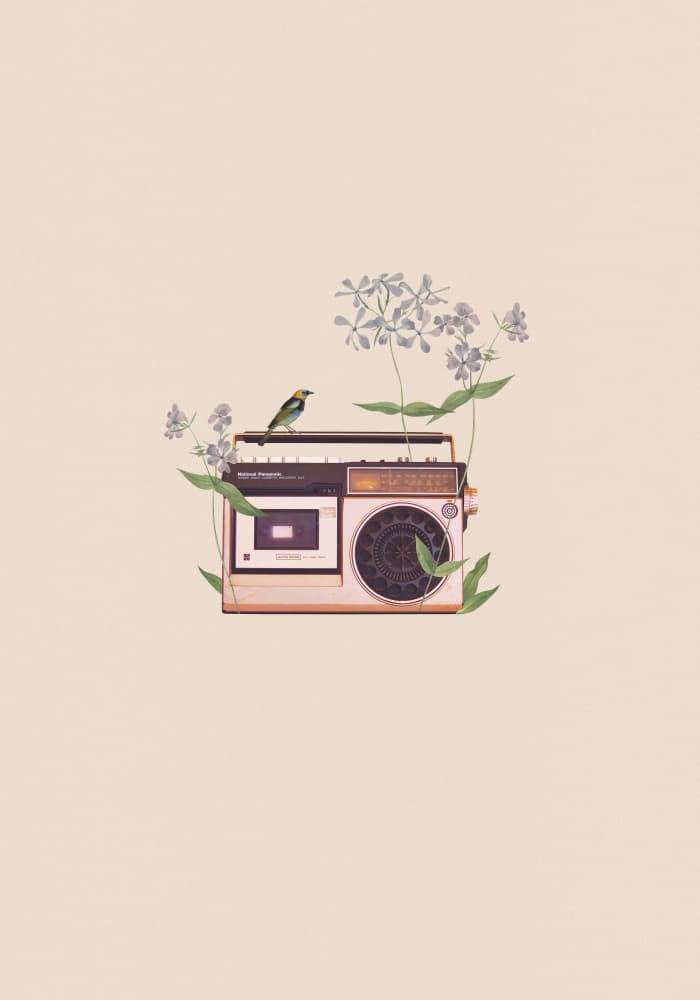 Boombox Bird Blossom by Frida Floral Studio — canvas wall art