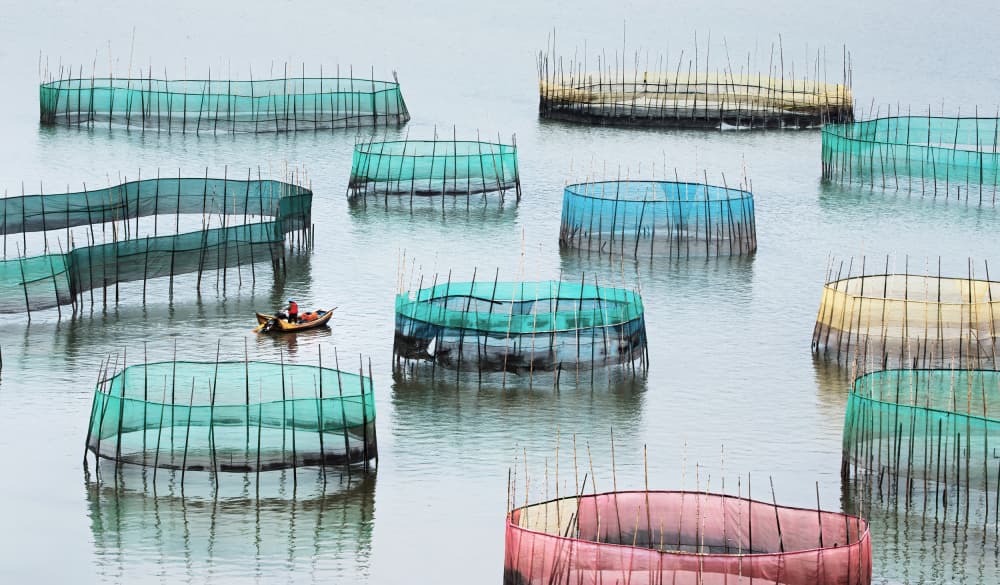 Colorful Fishing Nets by Jie Jin — canvas wall art