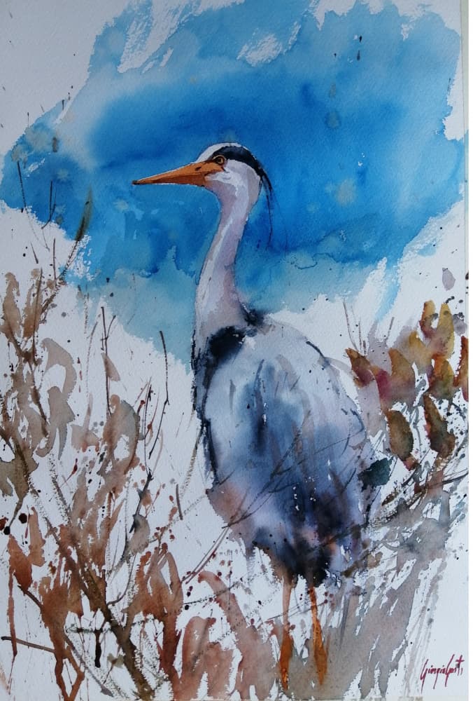 Blue Heron Watercolor by Giorgio Gosti — canvas wall art