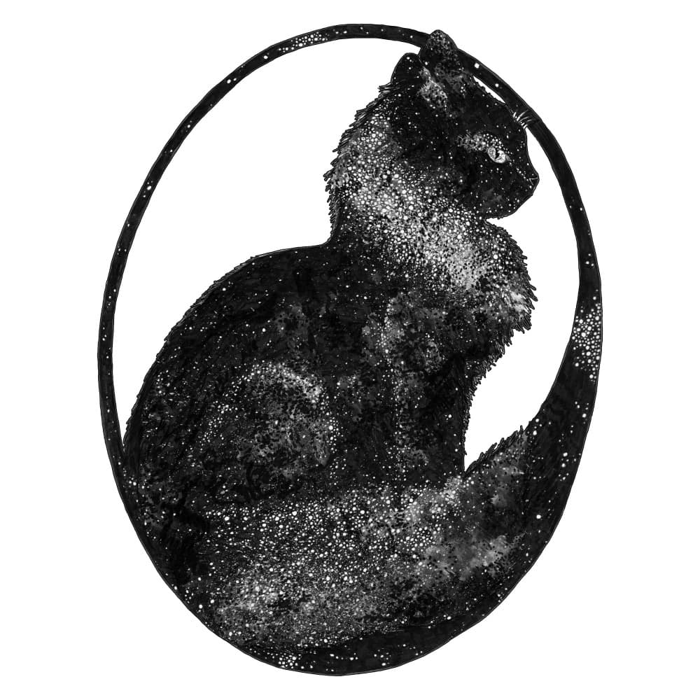 Celestial Black Cat by EC Mazur — canvas wall art