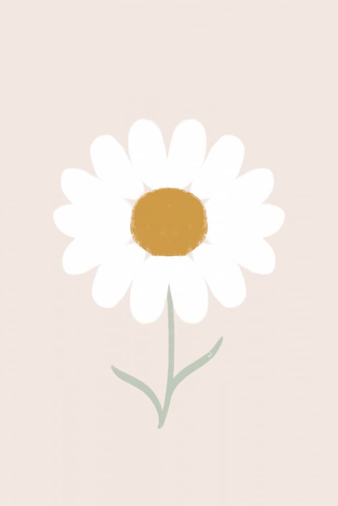 Gentle White Daisy by Menina Lisboa — canvas wall art