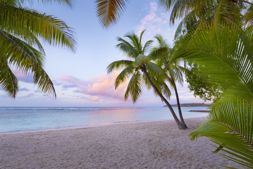 Tropical Beach by Stefan Hefele — canvas wall art