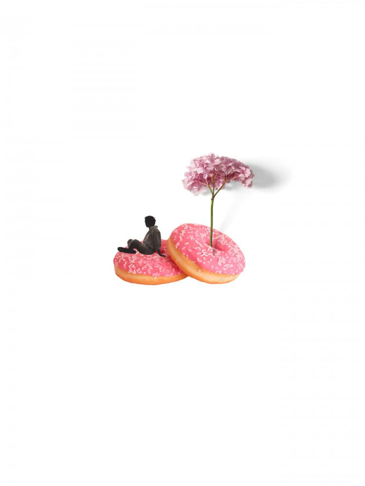 Pink Donut Oasis by Elizabeth C — canvas wall art