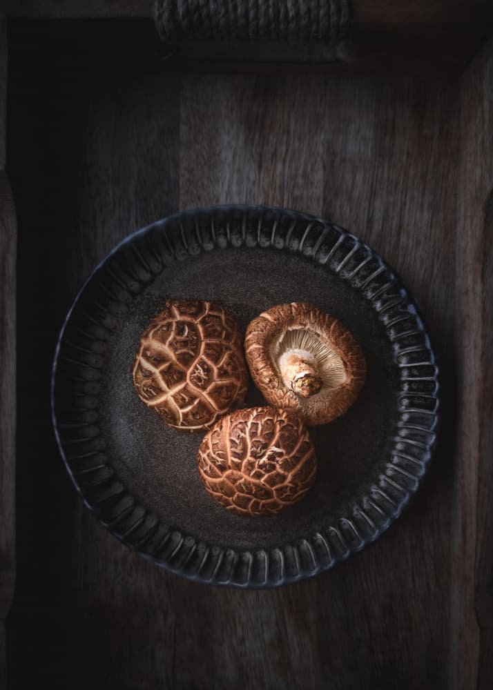 Earthy Shiitake Mushrooms by Karina Aleksandrova — canvas wall art