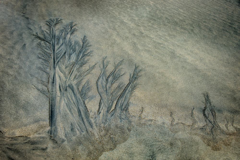 Fluid Sand Patterns by Piet Haaksma — canvas wall art
