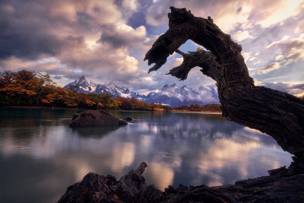Dramatic Patagonia Reflection by Ricardo Gayan — canvas wall art