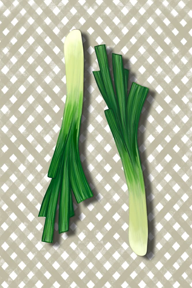 Fresh Green Leeks by EMELIEmaria — canvas wall art
