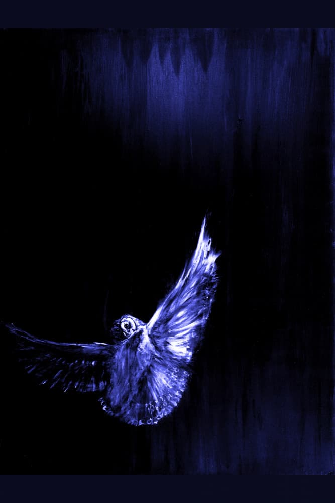 Mystic Blue Owl Flight by RodMacIver — canvas wall art