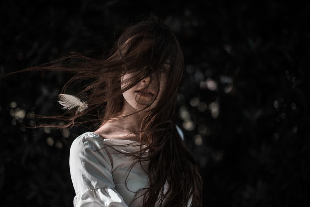 Feathered Windblown Portrait by Aldo Diazzi — canvas wall art