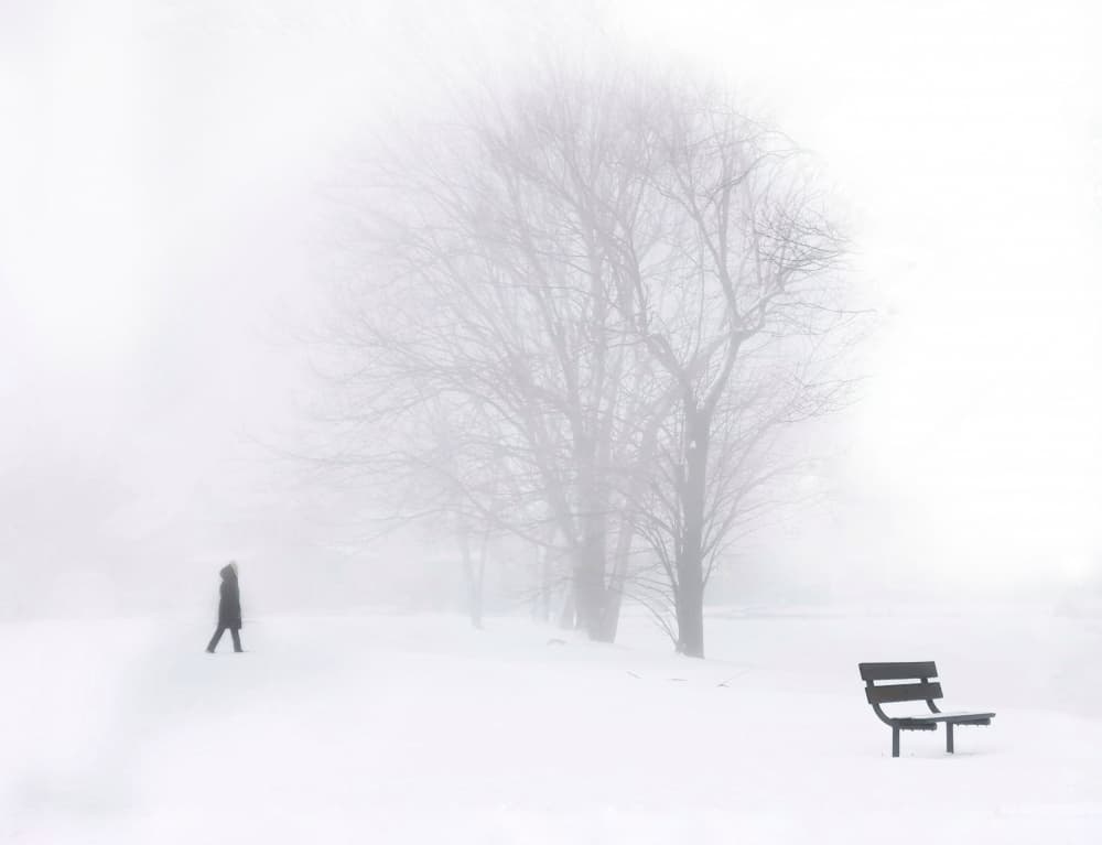 Foggy Winter Walk by Jasmine Zhang — canvas wall art