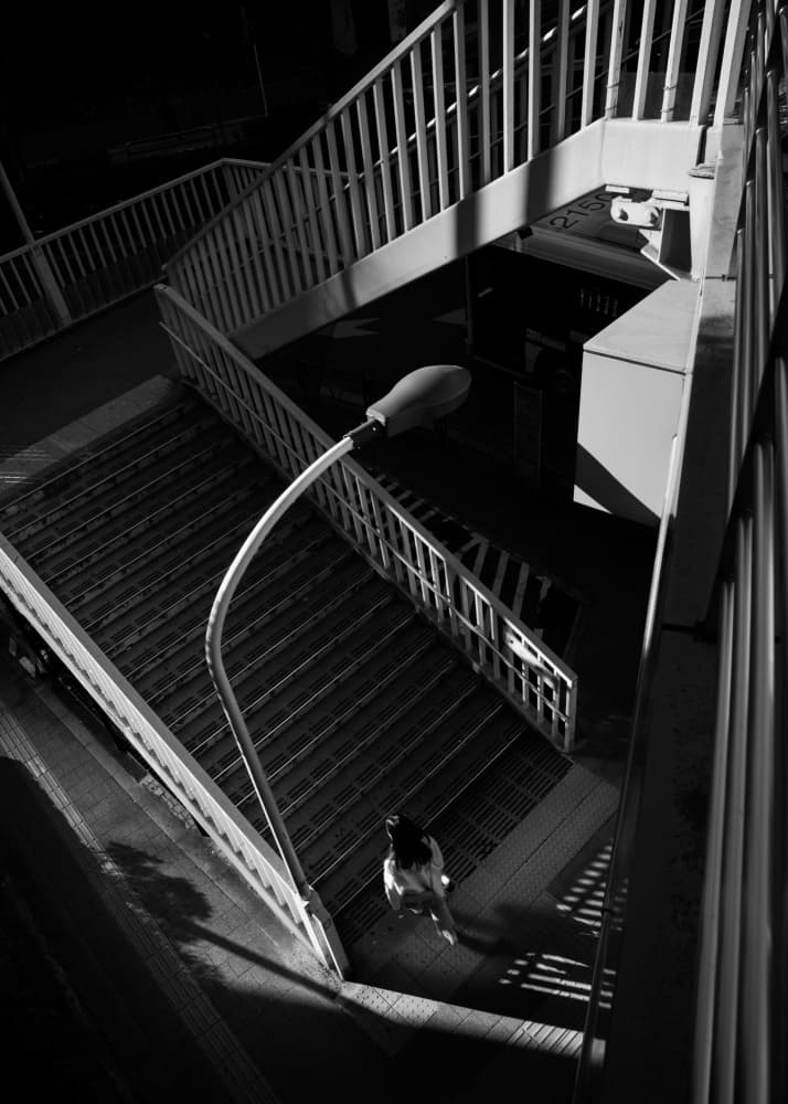 Solitary Urban Climb by Satoshi Hata — canvas wall art