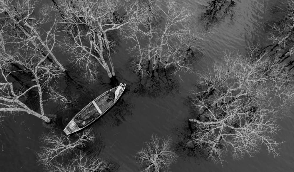 Lonely Boat Bare Trees by Tran Van Truong — canvas wall art