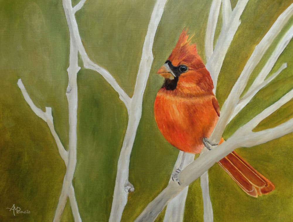 Vibrant Cardinal Perched by Angeles M. Pomata — canvas wall art