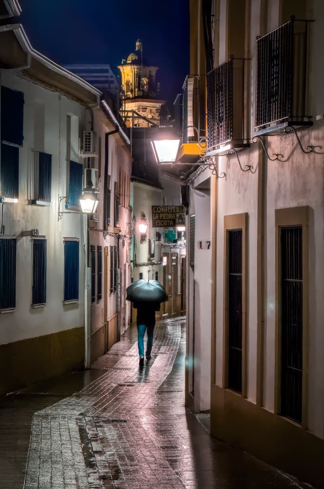 Rainy City Walk by Juan Luis Seco — canvas wall art