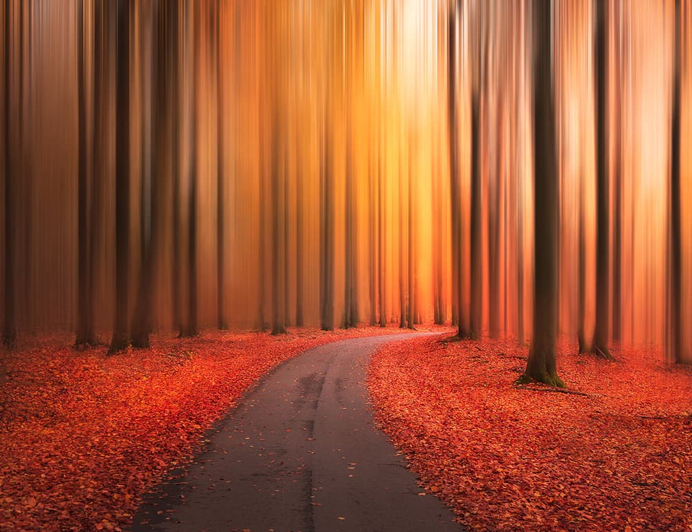 Vibrant Autumn Path by Christian Lindsten — canvas wall art