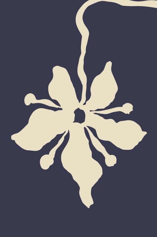 Elegant Botanical Bloom by Anna Rose — canvas wall art