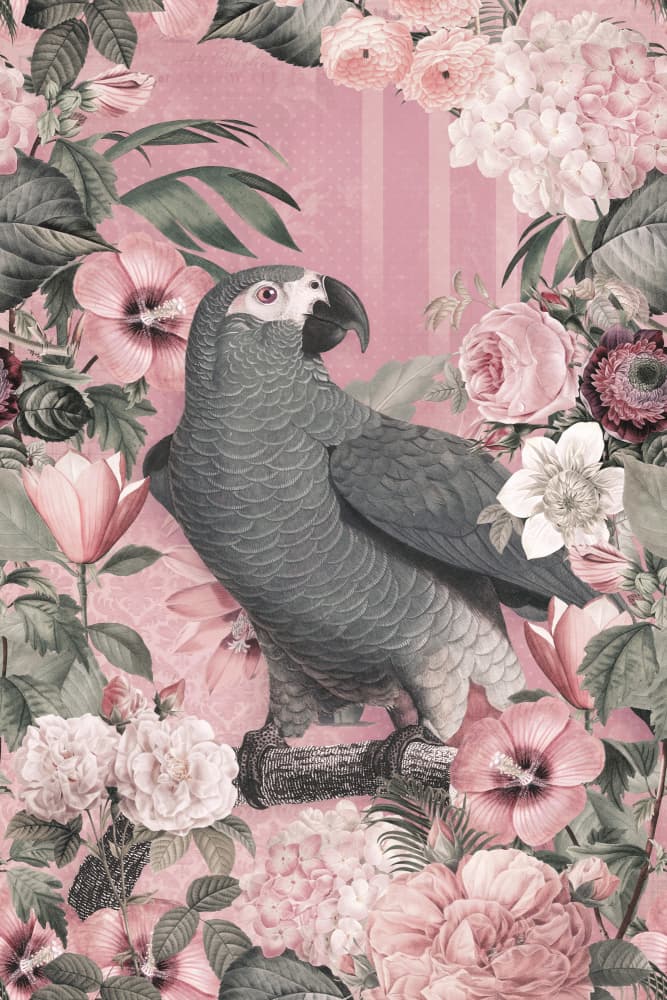 Elegant Parrot Blooms by Andrea Haase — canvas wall art