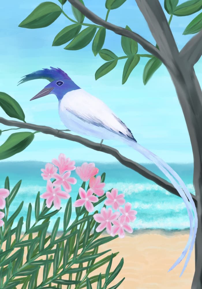White Bird Tropical Beach by Aliya Putrus — canvas wall art