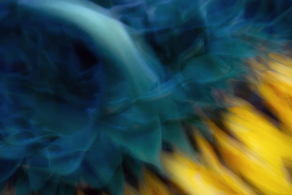 Vibrant Blue Yellow Flow by Masaki Sugita — canvas wall art