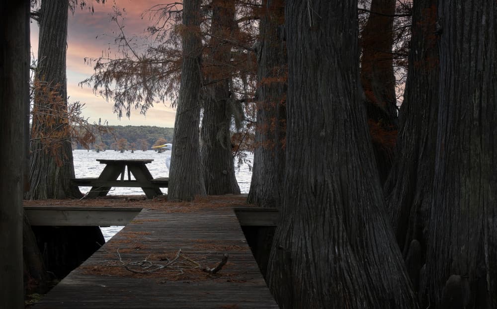 Cypress Lake Retreat by Larry Deng APA — canvas wall art