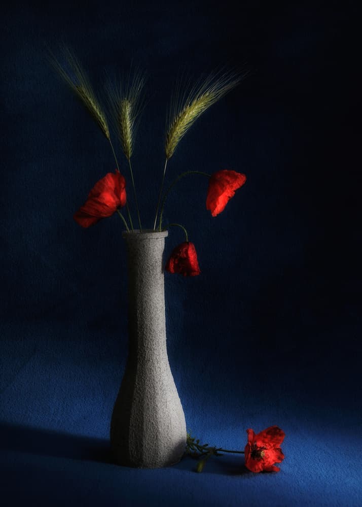 Red Poppies Blue Still Life by Antonio Grambone — canvas wall art