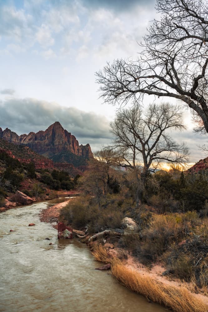 Zion Canyon Golden Light by Syed Iqbal — canvas wall art