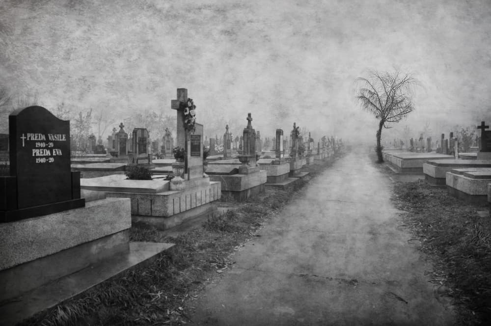 Foggy Cemetery Path by Nicoleta Gabor — canvas wall art