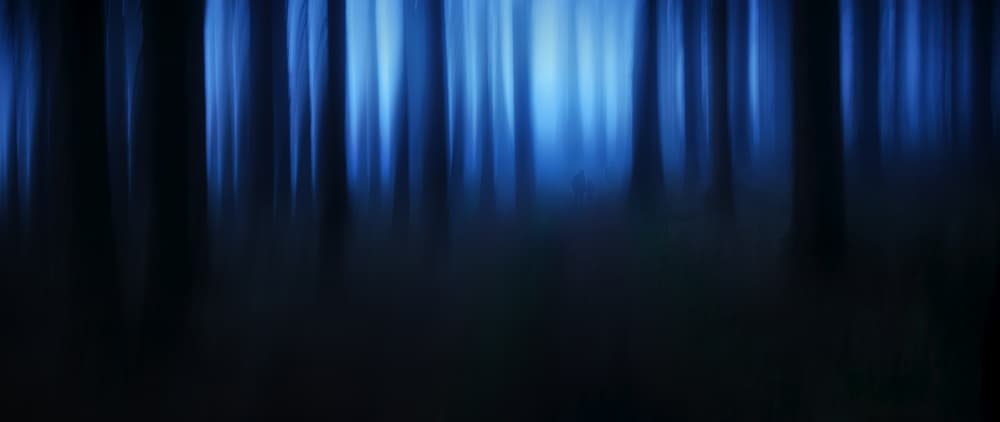Blue Forest Mystery by Burger Jochen — canvas wall art
