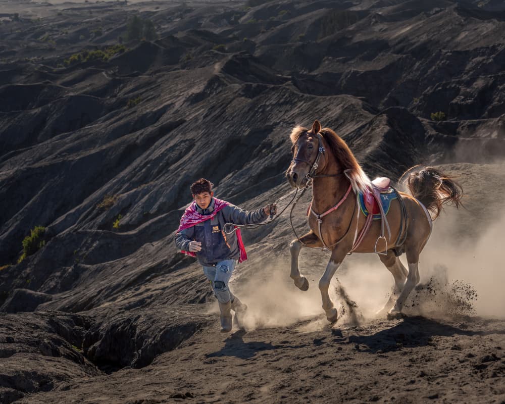 Horse and Man Running by Fira Mikael — canvas wall art
