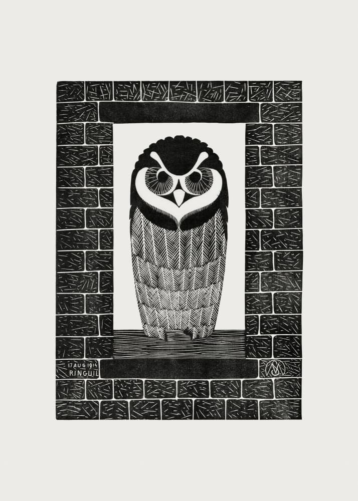 Ringuil by Samuel Jessurun — canvas wall art