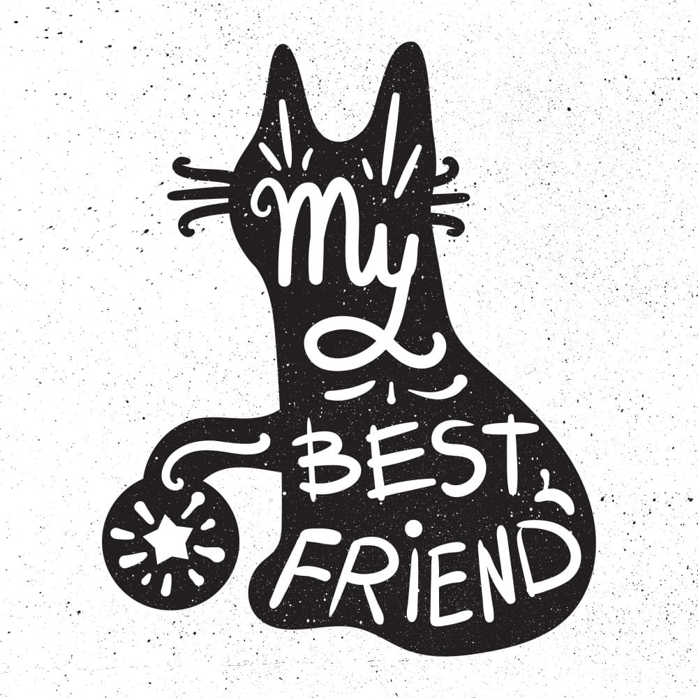 My Best Friend Cat by Marika Barsrsind — canvas wall art