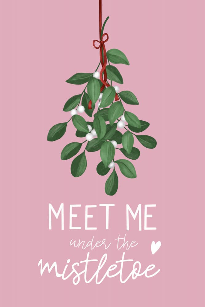 Under The Mistletoe by EMELIEmaria — canvas wall art