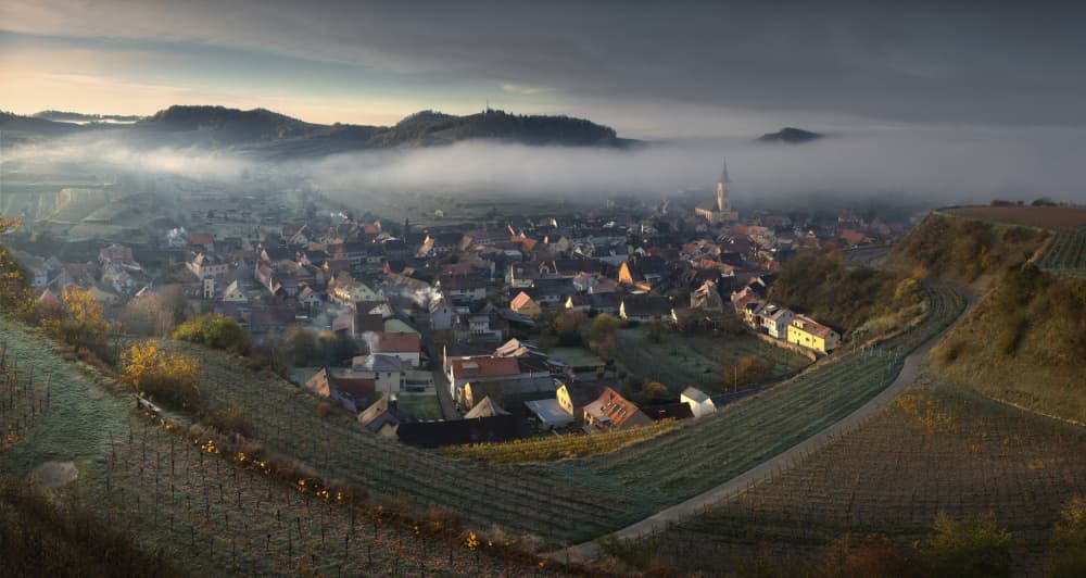 Golden Morning Vineyard Village by Zbyszek Nowak — canvas wall art