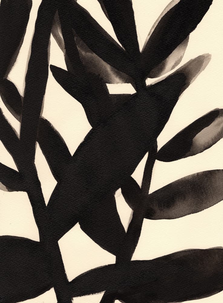 Branches in Black and Beige II by Janel Bragg — canvas wall art