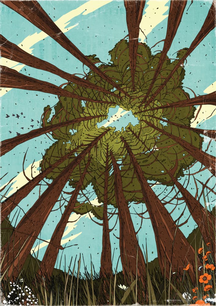 Forest Canopy View by Nicholas — canvas wall art