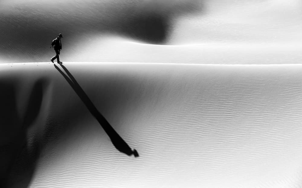 Solitary Desert Walk by Mohammadreza Momeni — canvas wall art