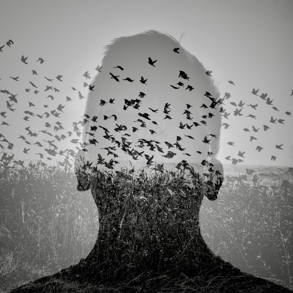 Mind in Flight by Robert Kuavi — canvas wall art