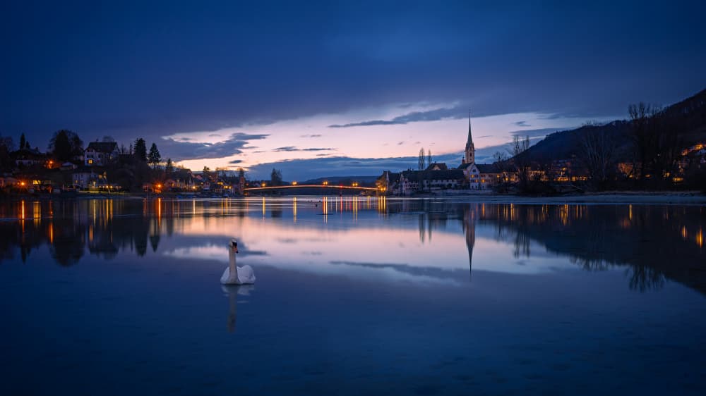 Twilight Town and Swan by Rui Ribeiro — canvas wall art